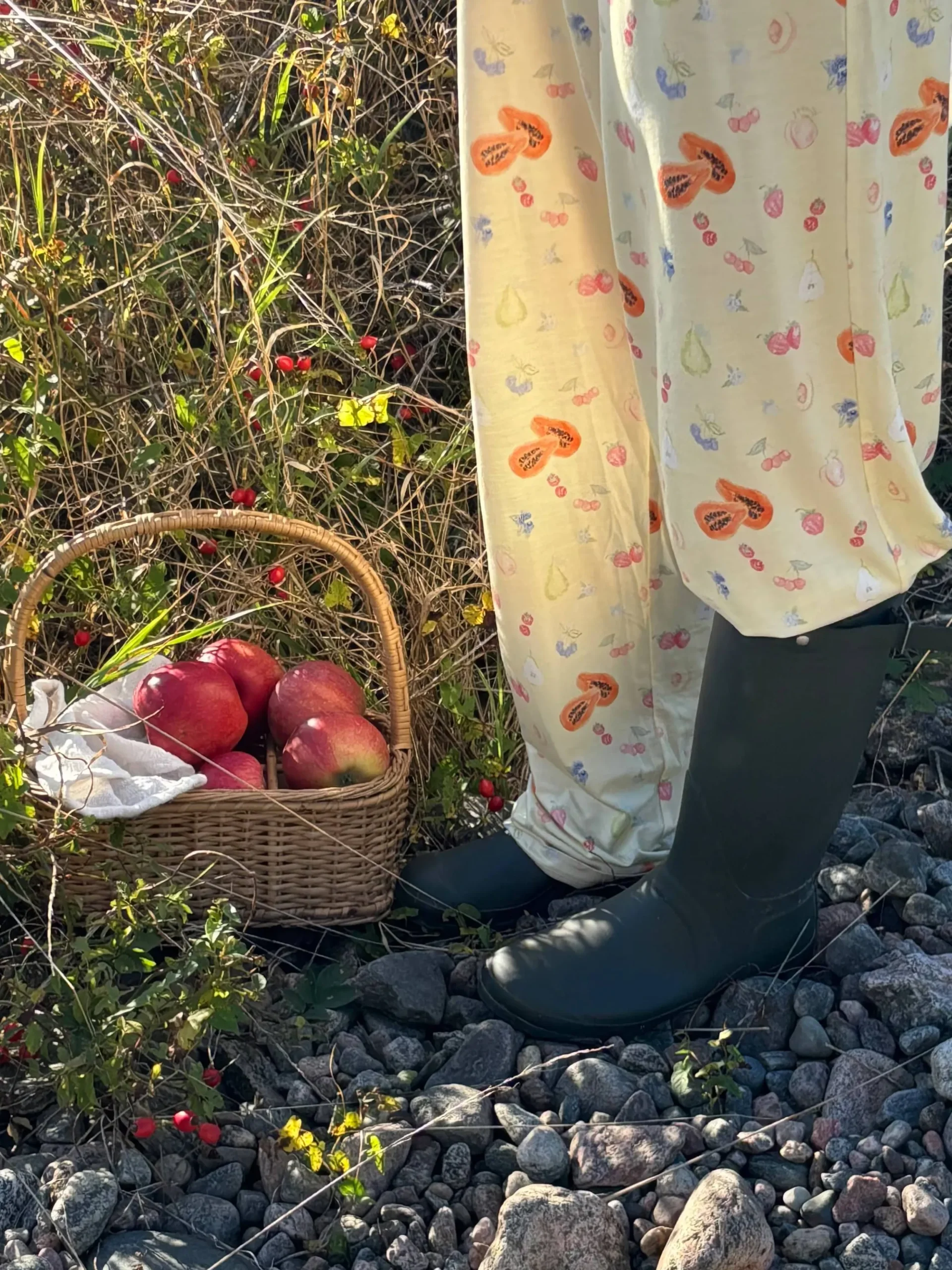 Go Slow Pants Fruit