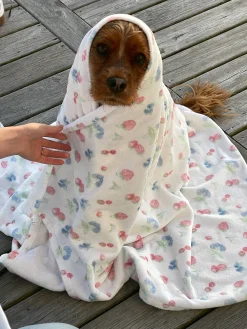 Summer Berries Towel